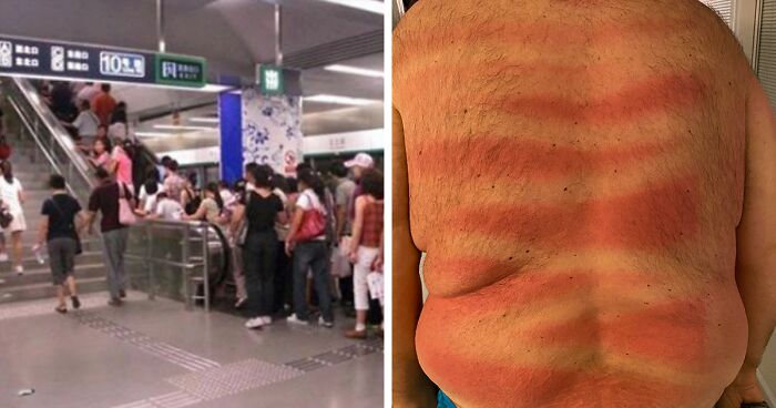 50 Lazy People Who Were So Infuriating, They Got Called Out Online50 Lazy People Who Were So Infuriating, They Got Called Out Online