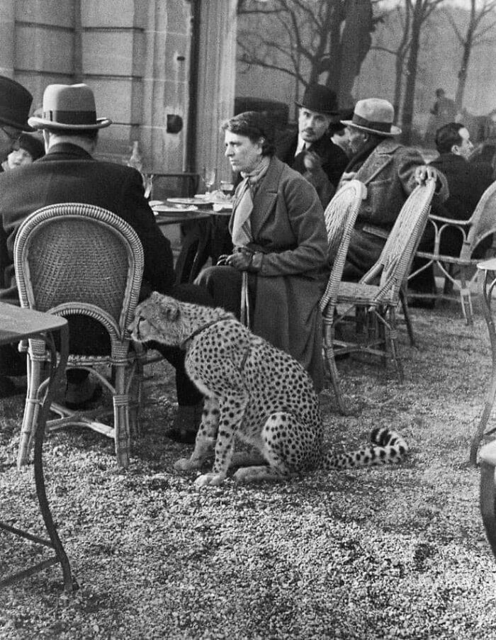 A Woman At A Cafe In Paris With Her Pet Cheetah, 1932