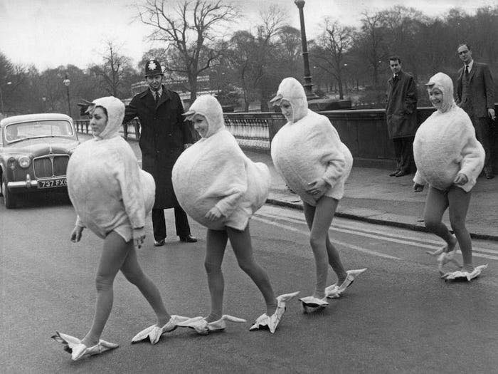 A Policeman Holds Up Traffic To Allow Four Egg Chicks To Cross A Bridge, 1966