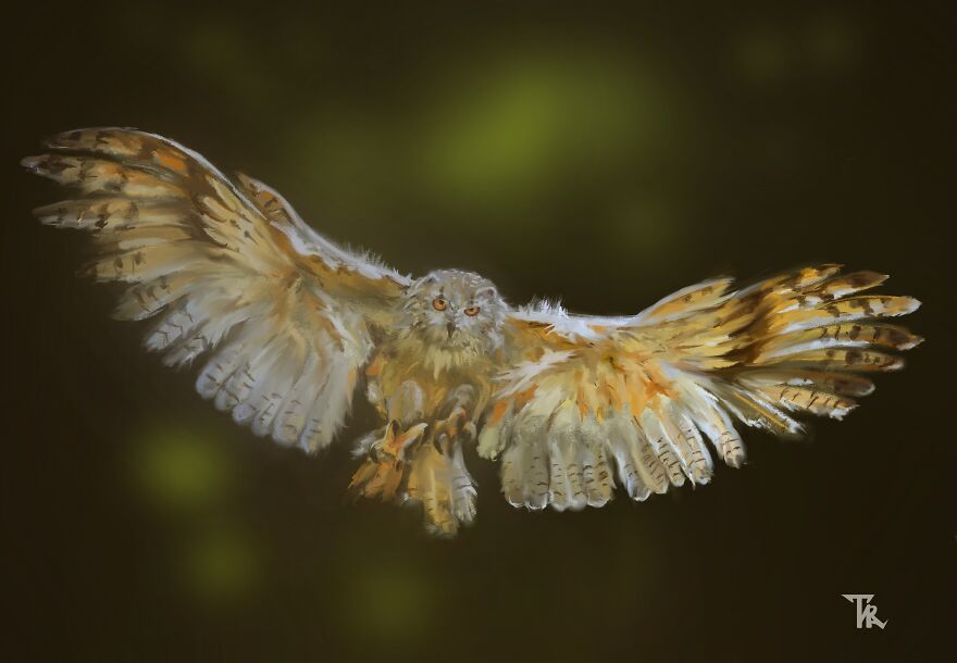 An illustration of a flying owl