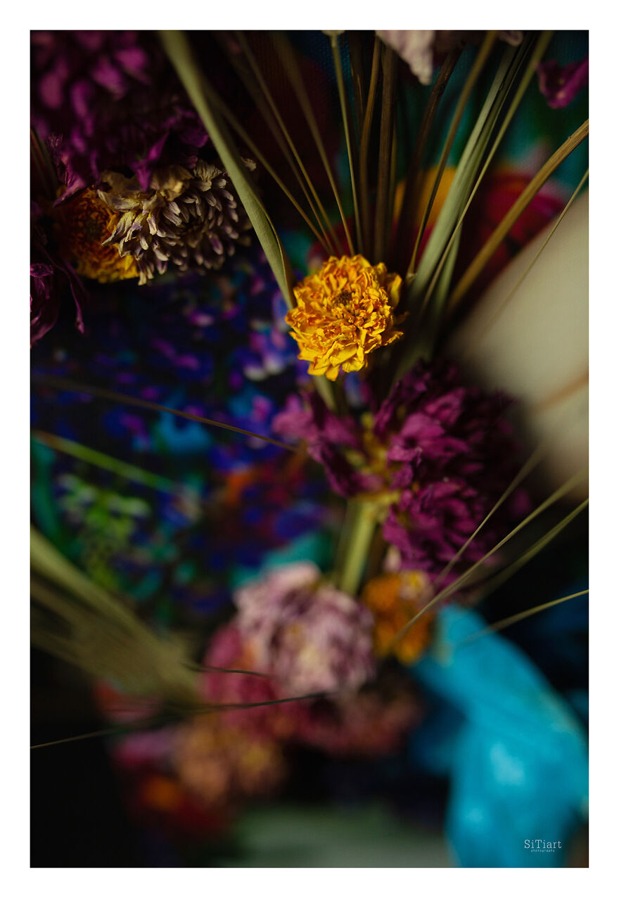 A Fellow Florist And I, The Photographer, Made 11 Portraits Of Months Using Live Flowers To Highlight The Genuineness Of Each Season