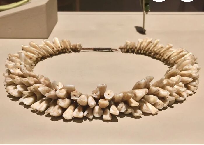 Human Tooth Necklace