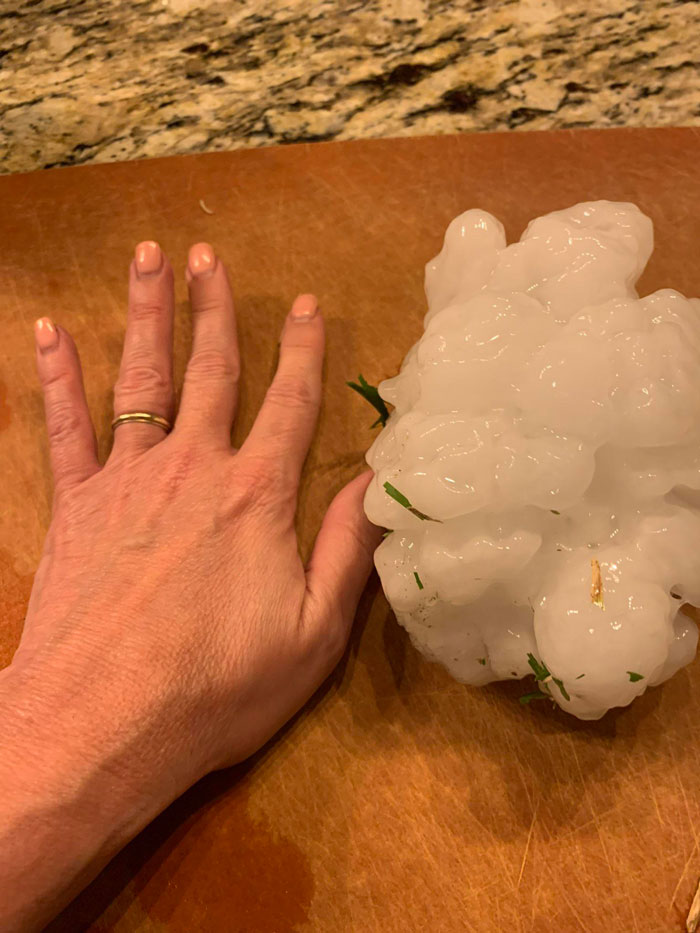 The Size Of This Hail From Texas Yesterday