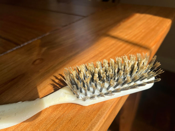 My (34m) Dad (65)has Been Using The Same Hairbrush Every Day Since I Was 3. It Has Never Been Cleaned