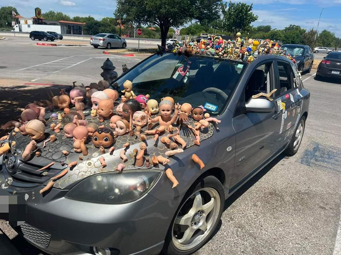 Plangonologist: Collector Of Dolls