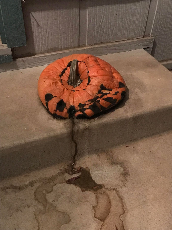 Remember To Throw The Pumpkin Out Before Too Long