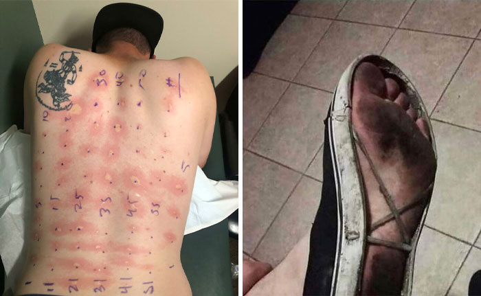 “Hurts To Look At”: 50 Pics From The “Make Me Suffer” Online Community (New Pics)