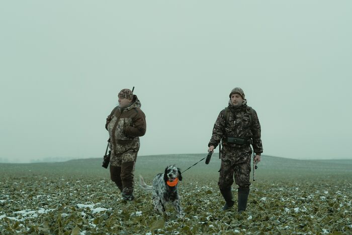 Huntsman Hunting With A Dog 