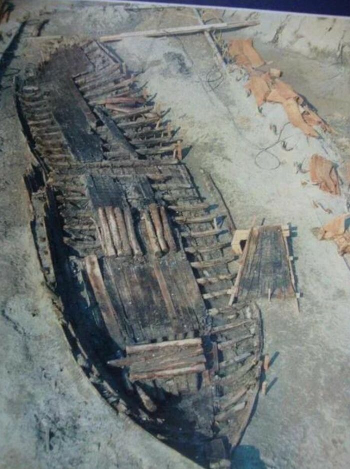 Roman Shipwreck Discovered In 1980 During The Maintenance Of Drainage Canal In Comacchio, Northern Italy. It Dates All The Way Back To 1 Bc