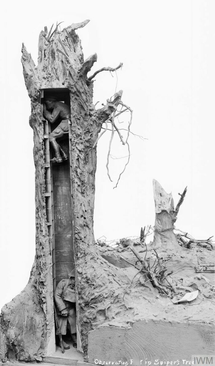 Puestos de vigilancia de la Primera Guerra Mundial, camuflados como árboles