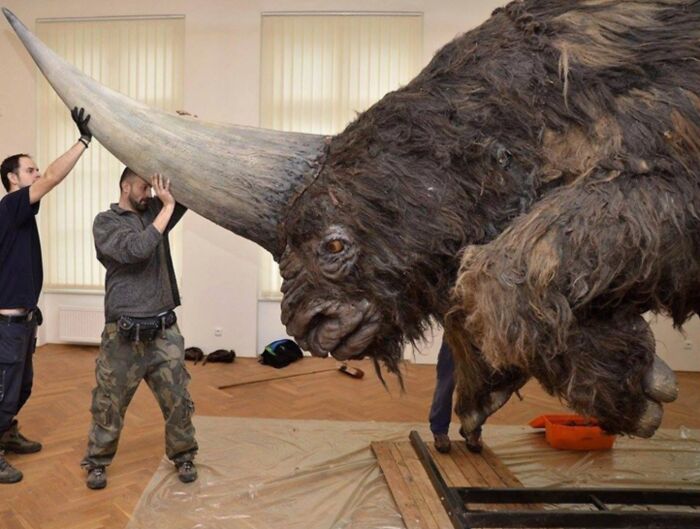 “Elasmotherium”, el unicornio siberiano, que se extinguió hace 29 mil años