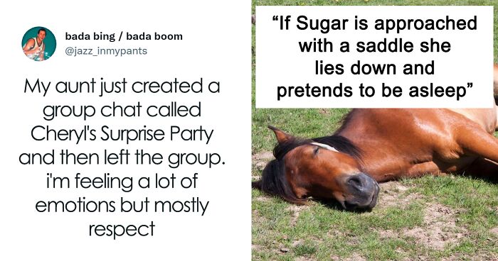 ‘Millennial Heaven’: Instagram Page Shares 50 Relatable Memes For People In Their 30s (New Pics)