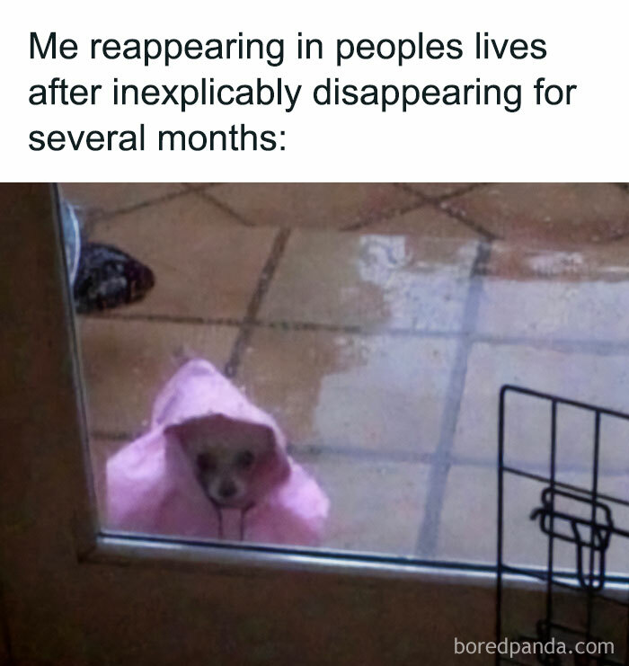 Relatable-Introvert-Memes