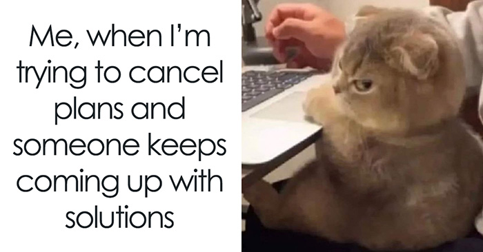 “Introvert Memes”: 50 Of The Funniest Jokes That Sum Up Life As An Introvert