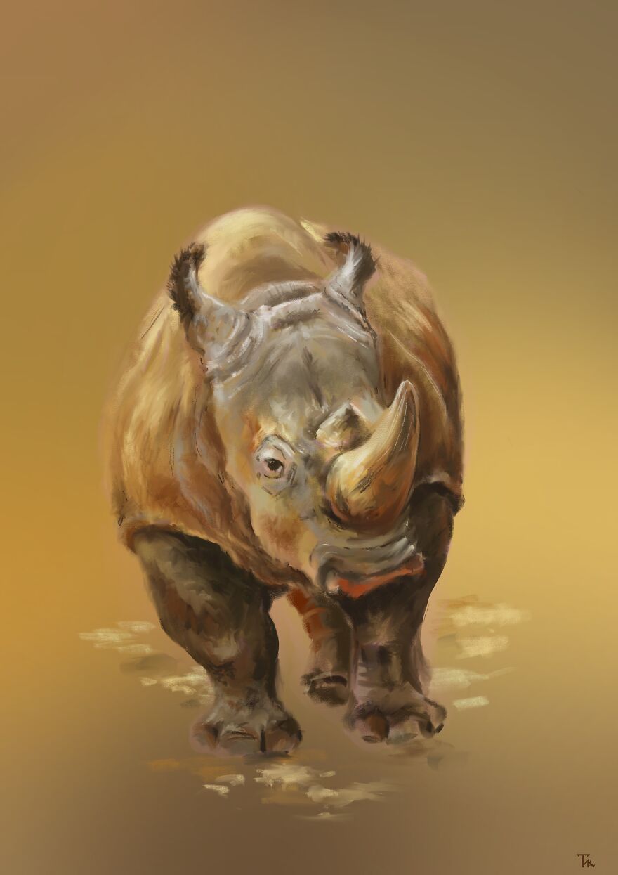 An illustration of a rhino