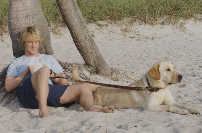 Man and a dog sitting on the beach near a tree 