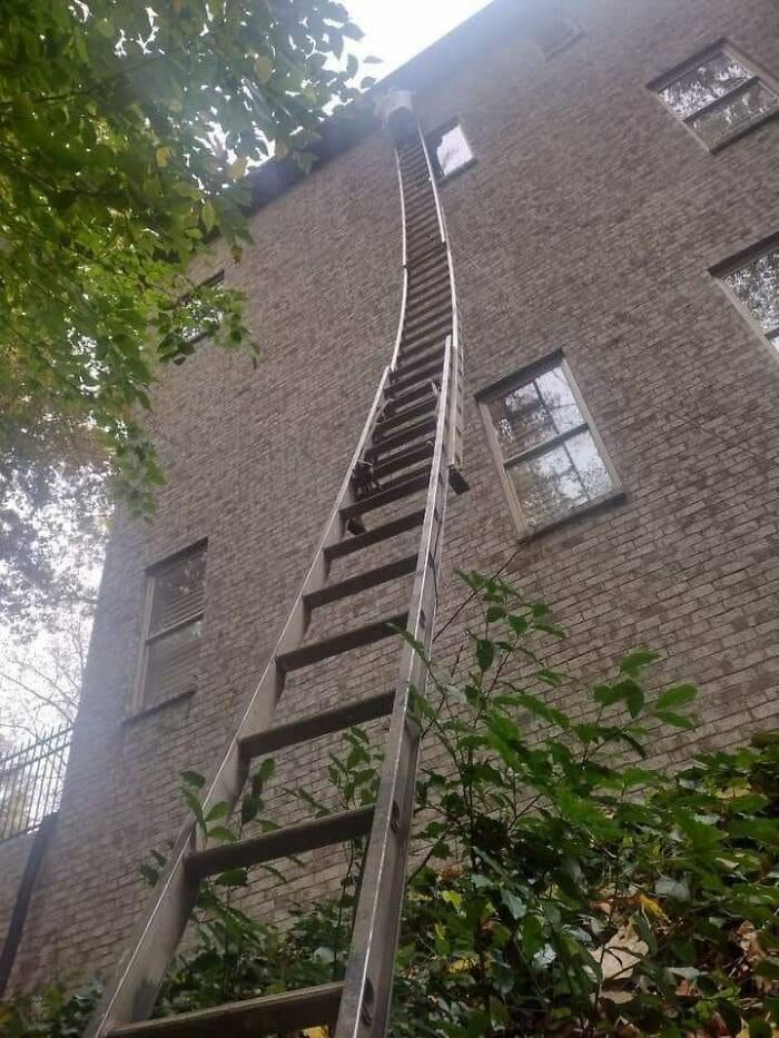 This Thing Bends From A Ladder To Stairs Near The Middle, If You Even Reach The Middle