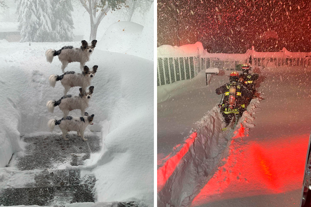 People Are Posting Wild Photos As Buffalo, New York, Digs Up From 6 Feet Of  Snow