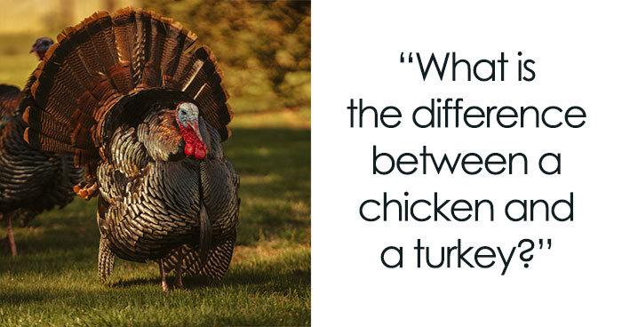 Thanksgiving Riddles To Be Served With The Turkey