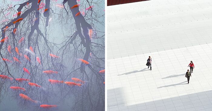 The 2021 Annual Mobile Photography Award Winners Will Make You Rethink ...