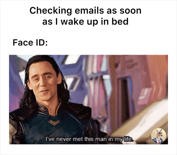 The-Aussie-Corporate-Instagram