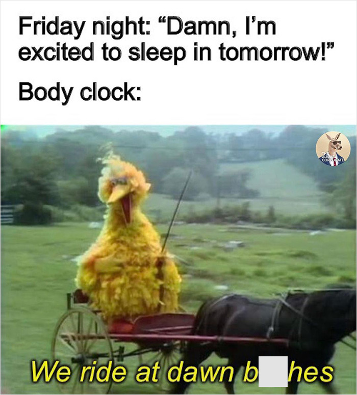 The-Aussie-Corporate-Instagram