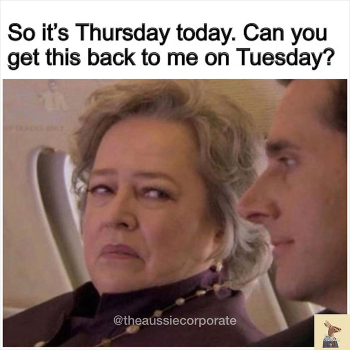 The-Aussie-Corporate-Instagram