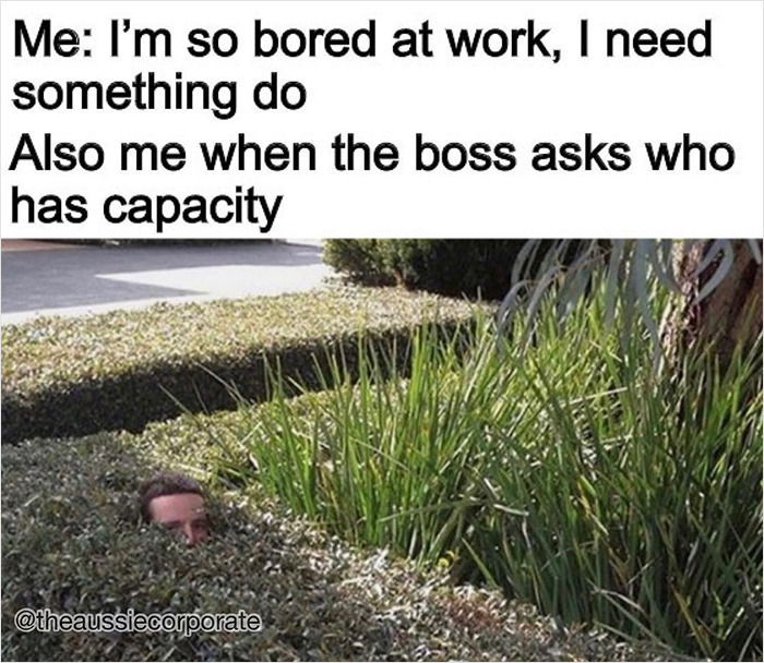 The-Aussie-Corporate-Instagram