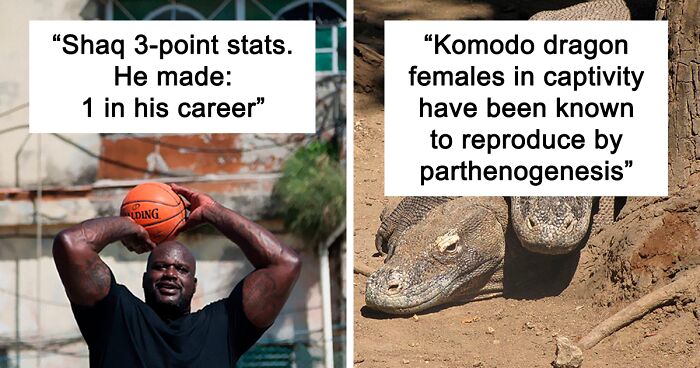 People Share 33 Random Facts That May Sound Fake But Aren’t, As Shared ...