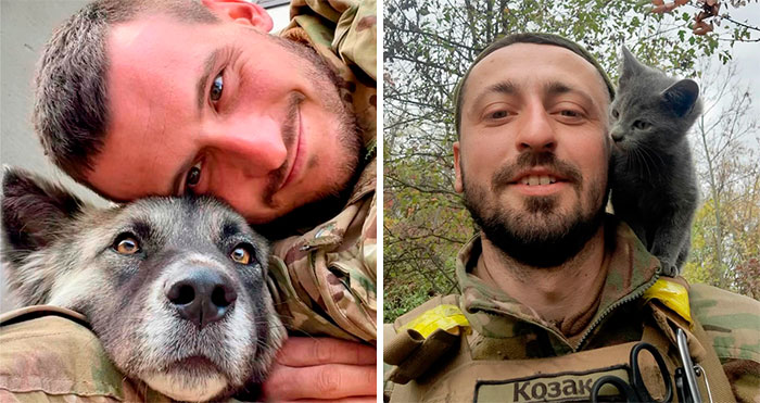 50 Photos Of Cats And Dogs Rescued By Ukrainian Soldiers, Shared By This Instagram Account