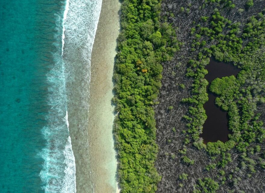 Mangroves Aerial- Mohamed Muha, Maldives