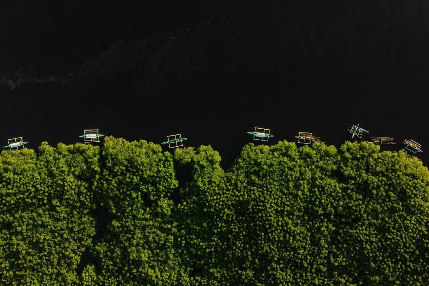 Mangrove Tourism - Janos Leo G. Andanar, Philippines