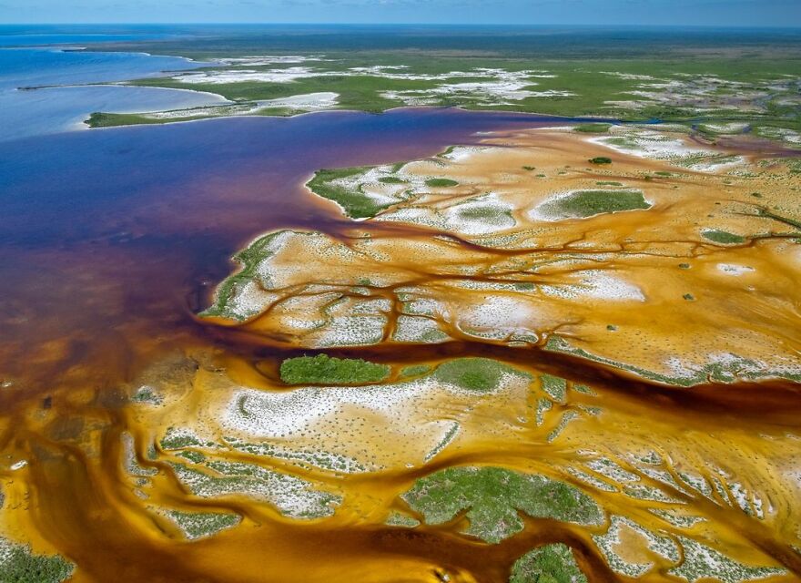Humedal Amarillo - Humberto Bahena Basave, Mexico