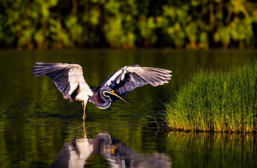 Dark Night - Jennifer Goddard, Cayman Islands