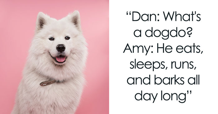 47 Updog Jokes With Funny Punchlines