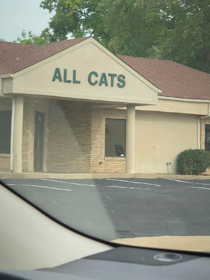 I Think This Is A Shelter/Veterinary Practice. Wonder If I Can Take A Hamster Here …