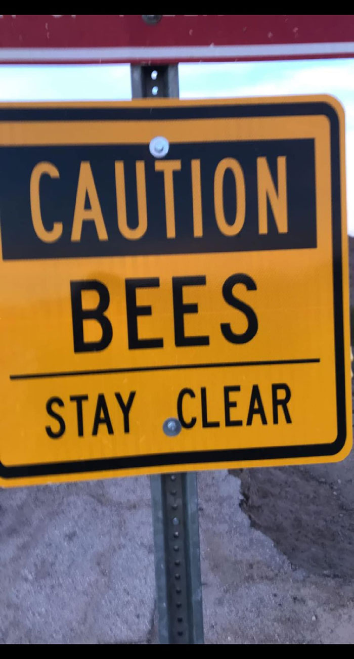 Taken In 2017 At Mcphaul Bridge In Yuma, Az. Unpopular Because I Didn’t Stay Clear, But Useless Because I Saw No Bees