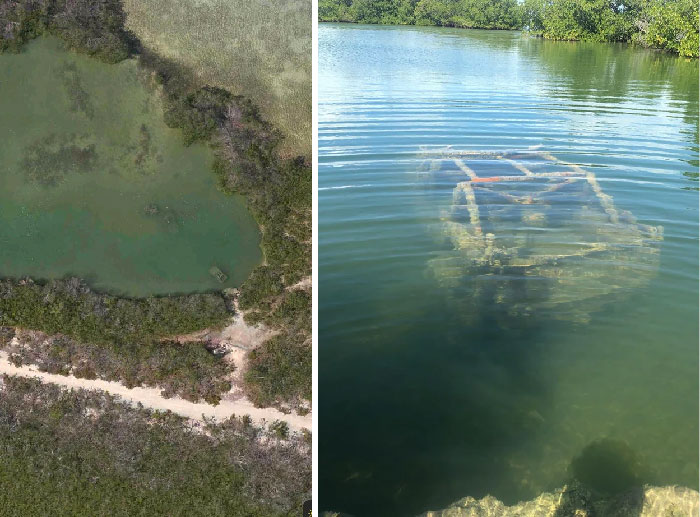 Found A Sunken Jeep Near Key West, Fl Via Google Maps. So A Friend Of Mine Went To Check It Out In Person. Swipe To See