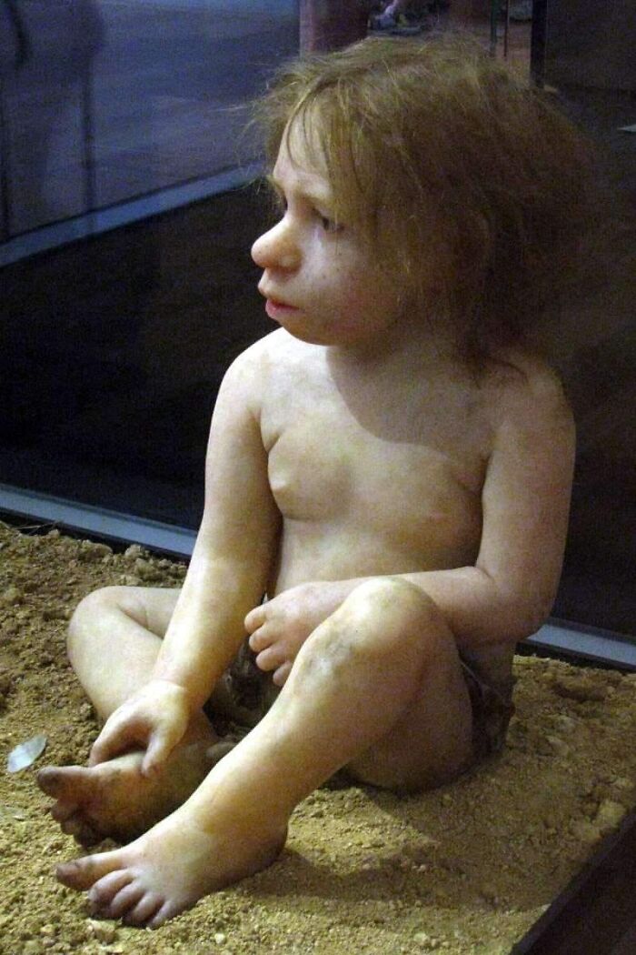 Reconstruction Of A 3 Year Old Neanderthal Child. Based On The Remains Found At Roc De Marsal In 1961. Sculptor - Elisabeth Daynes