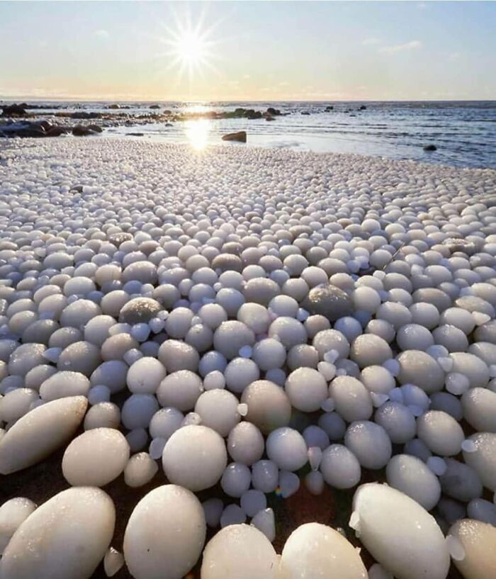 Ice Eggs, Thousands Of Balls Of Ice Cover Beach In Finland, Due To A Phenomenon That Occurs When Ice Are Rolled Over By Water And Wind