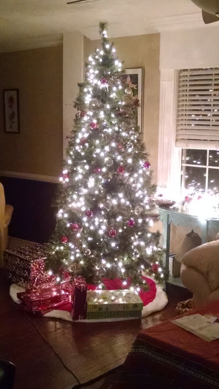 My Last Christmas Tree