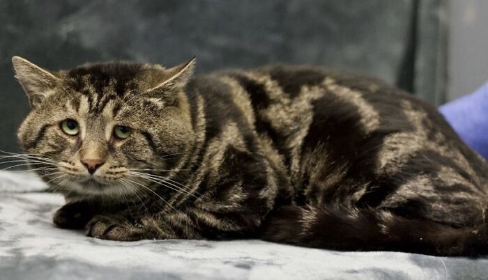 After Going Viral On Twitter, Fishtopher Has Recently Been Adopted And Is Off To Live A Happy Life After Going Viral On Twitter, Fishtopher Has Recently Been Adopted And Is Off To Live A Happy Life