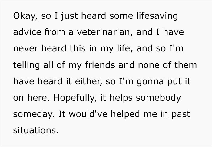 Woman Shares A Life-Saving Tip Vet Techs Don't Tell Pet Owners, Explains How To Save Money On Medication