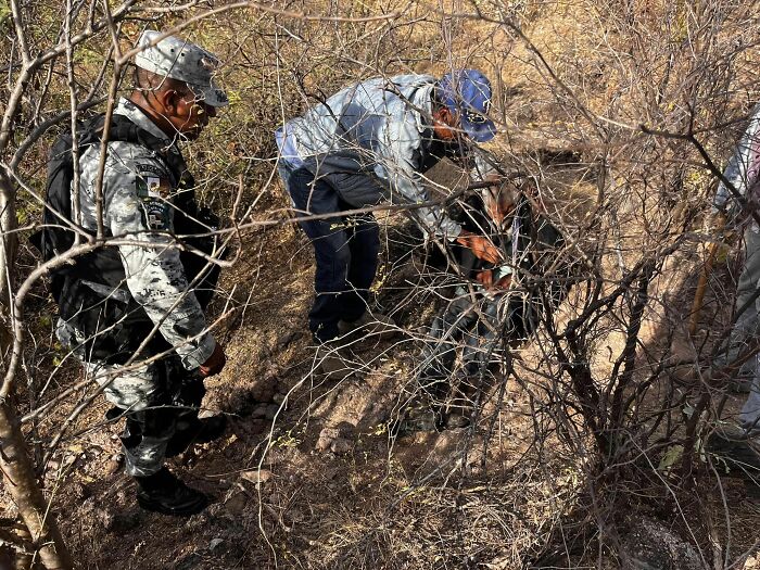 Dog Named Palomo Has Helped Mexican Authorities To Find His Missing Owner Dog Named Palomo Has Helped Mexican Authorities To Find His Missing Owner
