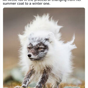 refinnej777_ja avatar