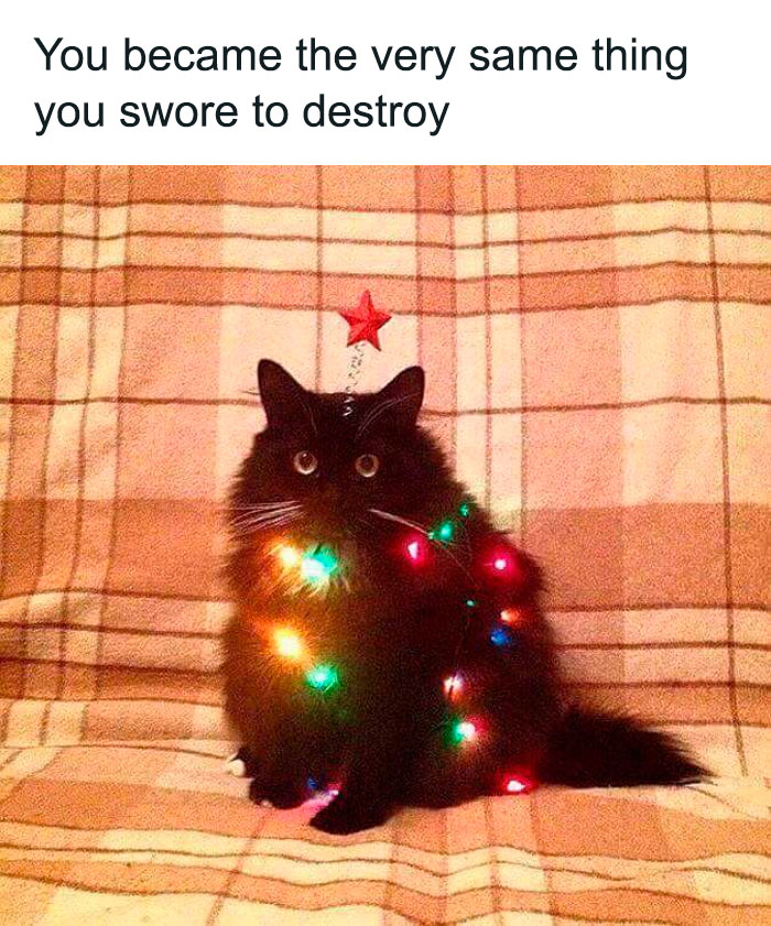 Hilarious-Christmas-Memes