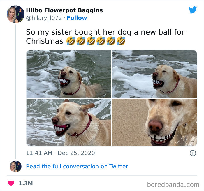 One Happy Dogo