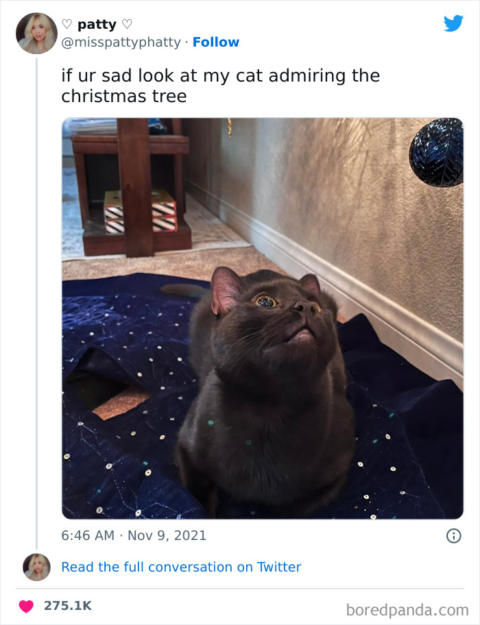 He Doesn’t Attack The Tree Or Try To Knock It Down