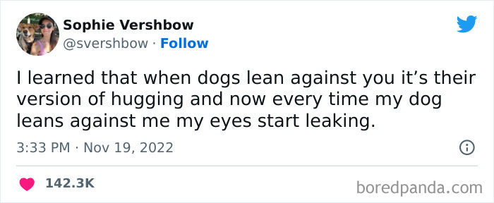 Tweet about dogs behaviour