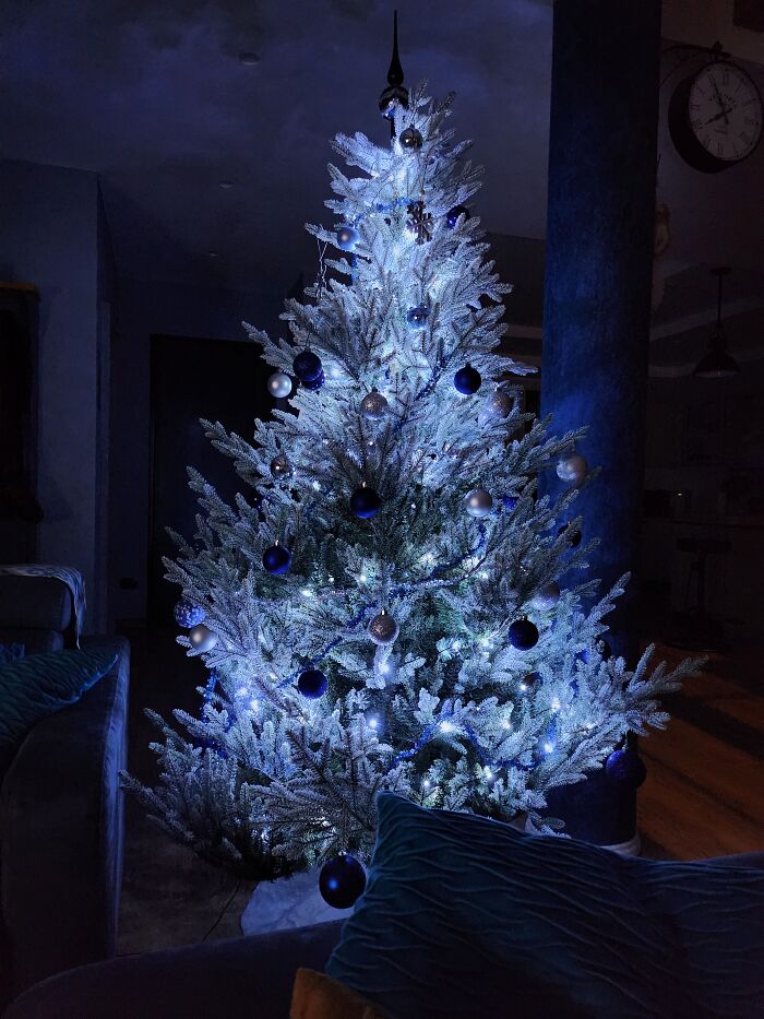 A Blue Blue Christmas ♡